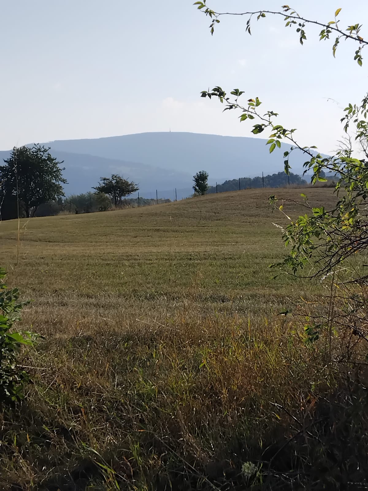 Cesta mezi loukami